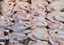 Pengertian Karkas Ayam Broiler dan Ayam Kampung