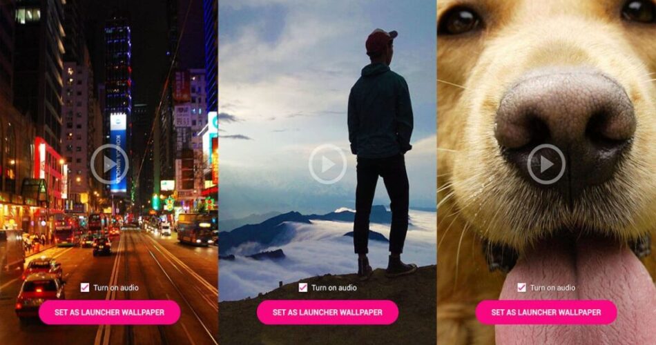 Aplikasi untuk menambahkan video ke wallpaper ponsel Anda