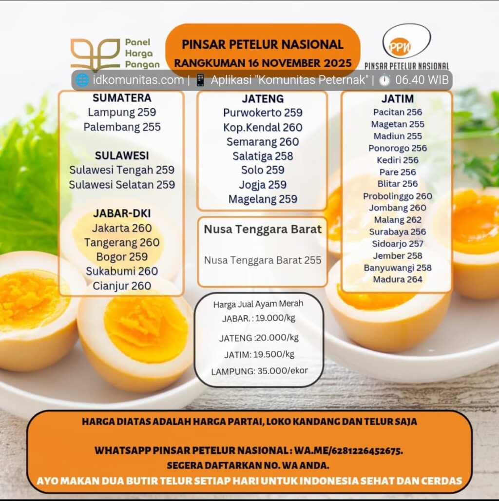 Harga Telur Hari Ini 16 November 2025 Tingkat Peternak Pengambilan Partai 3 IMG 20251116 WA0000