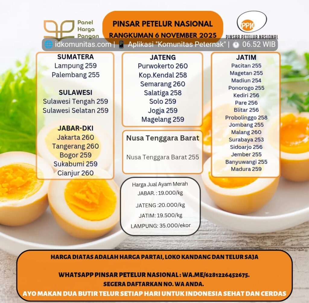 Harga Telur Hari Ini 6 November 2025 Tingkat Peternak Pengambilan Partai 3 Screenshot 20251106 065209