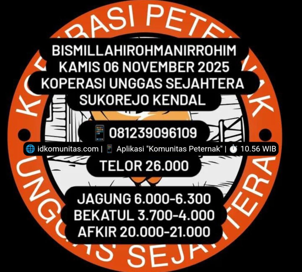 Harga Telur Hari Ini 6 November 2025 Tingkat Peternak Pengambilan Partai 4 Screenshot 20251106 105606