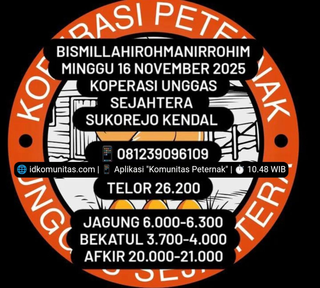 Harga Telur Hari Ini 16 November 2025 Tingkat Peternak Pengambilan Partai 4 Screenshot 20251116 104847