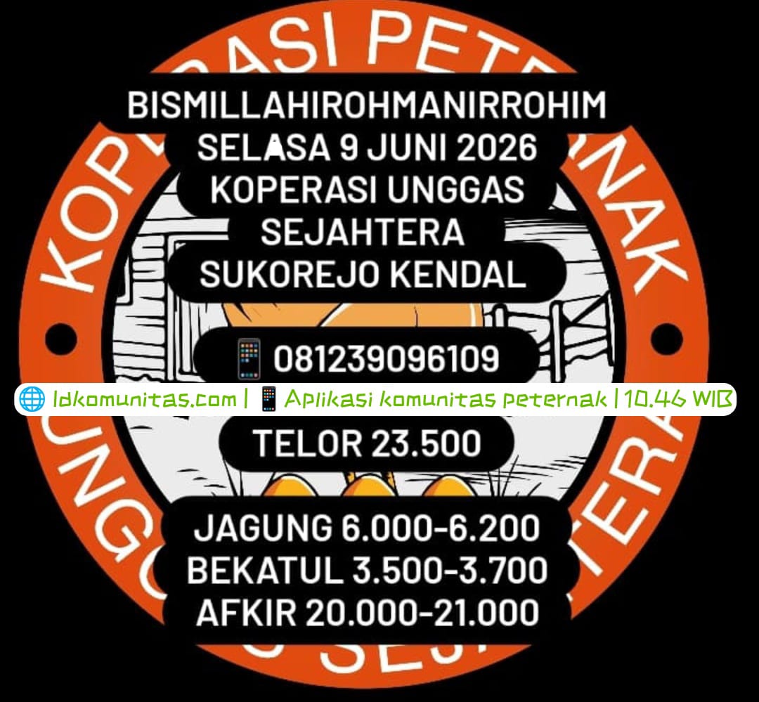 IMG 20260609 WA0033